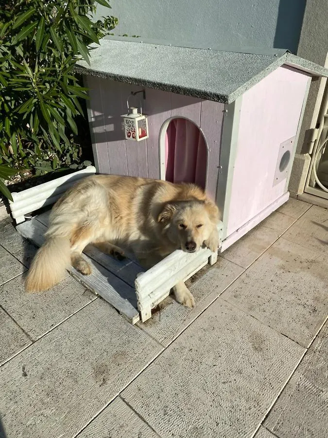 B&B La Terrazza Pozzolengo Olaszország