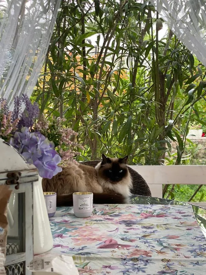 B&B La Terrazza Pozzolengo Bed & Breakfast